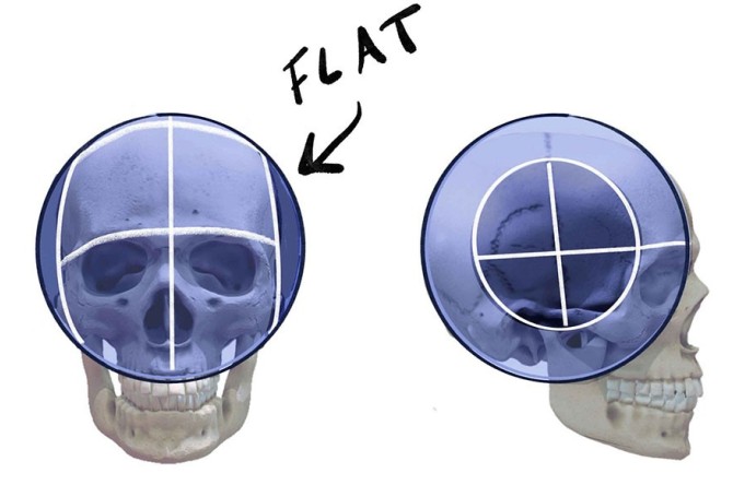 آموزش طراحی آناتومی چهره از نمای نیم رخ