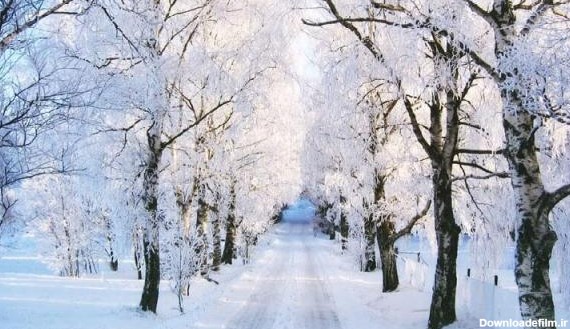 مجموعه عکس طبیعت زمستانی زیبا برای پروفایل 99 - وبلاگ تجارت