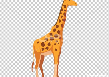 Borchin-ir-large giraffe cartoon animal large photo دانلود وکتور زرافه۲