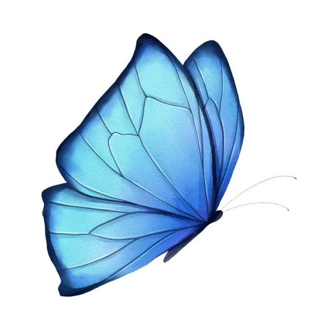 طرح لایه باز کلیپ آرت پروانه زیبای آبی