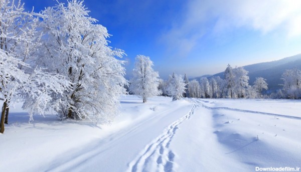 دانلود عکس پروفایل طبیعت زمستانی برفی
