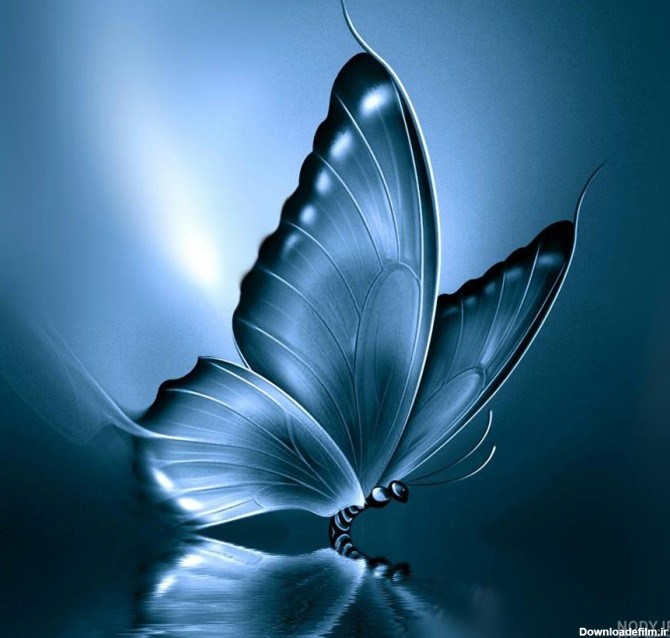 عکس پروانه سریال پروانه