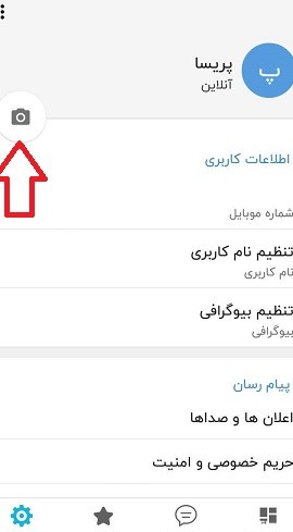 چگونه برای پروفایل شاد عکس بگذاریم