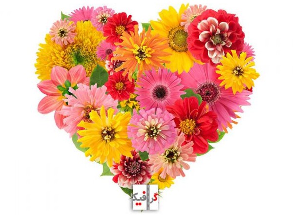 عکس-پروفایل-گل-های-زیبا-چیده-شده-به-صورت-قلب