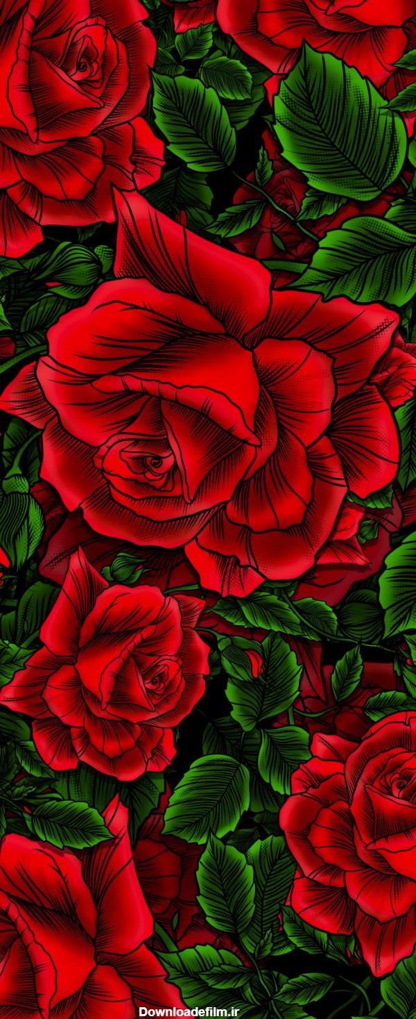 تصویر زمینه گل سرخ برای گوشی - مجله نورگرام