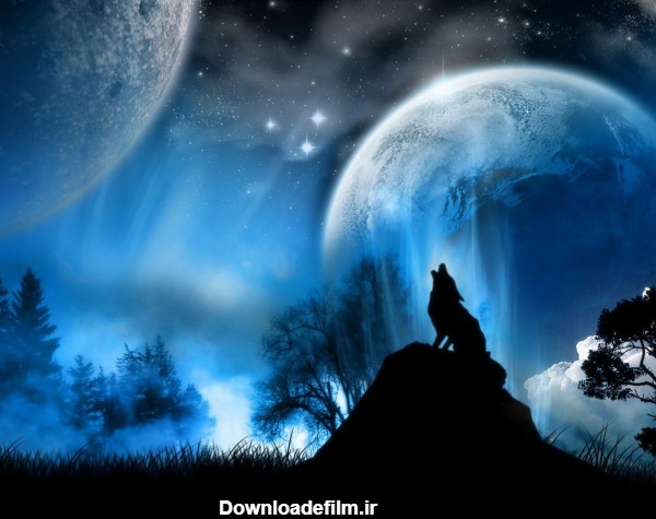 تصویر والپیپر زیبا از گرگ در حال زوزه کشیدن در شب مهتابی