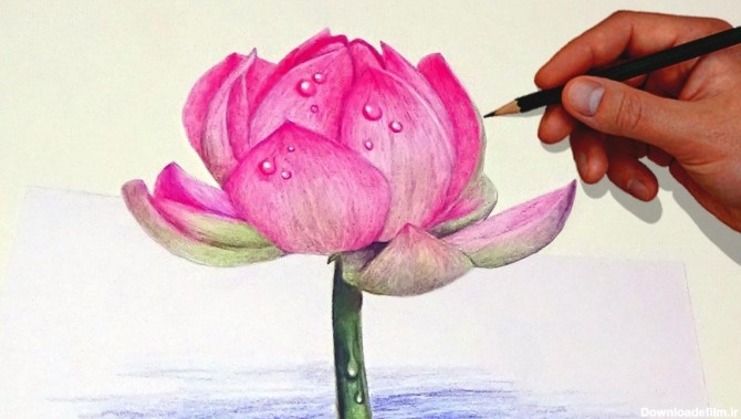 نقاشی گل با مداد رنگی