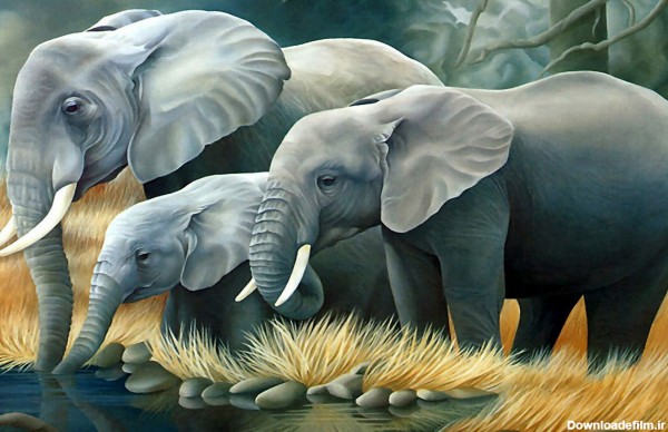 نقاشی خانواده فیل ها elephant painting