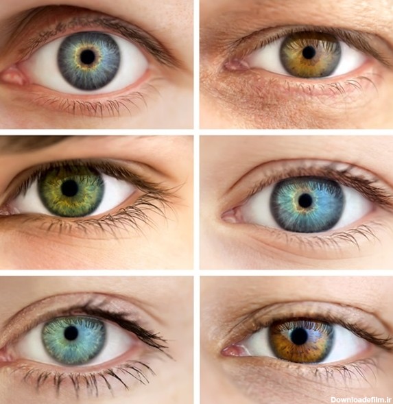 ژنتیک رنگ چشم