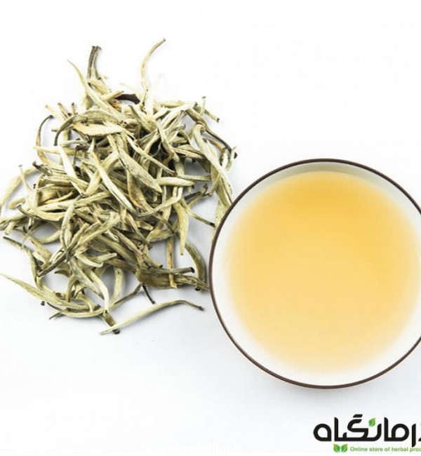خرید چای سفید اصل | خواص و قیمت چای سفید سوزنی | درمانگیاه