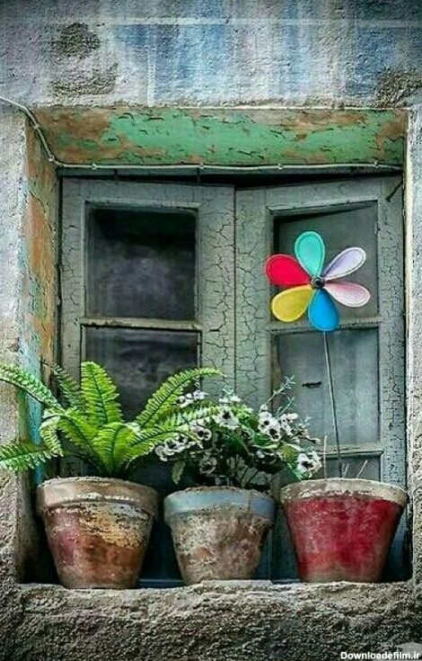 پنجره ی قدیمی با گلدان های زیبا