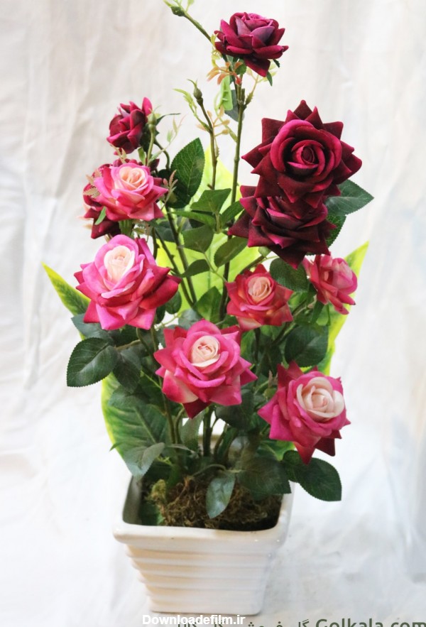گلدان گل رز زیبا قرمز و صورتی | گلفروشی گل کالا | 75 هزار تومان