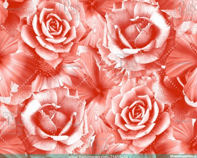 Pink Spring Bloom - دانلود عکس - پارس ایمیجز - download image ...