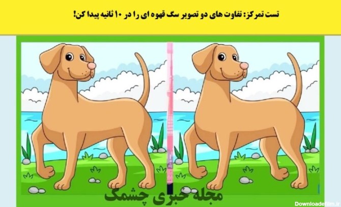 تست تمرکز: تفاوت های دو تصویر سگ قهوه ای را در 10 ثانیه پیدا کن!