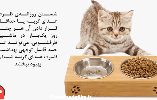 راهنمای خرید ظرف آب و غذای گربه | اهمیت بهداشت ظرف آب و غذای گربه ...