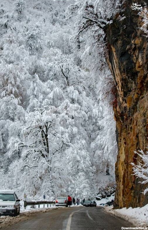 طبیعت برفی بهشت رامسر + عکس