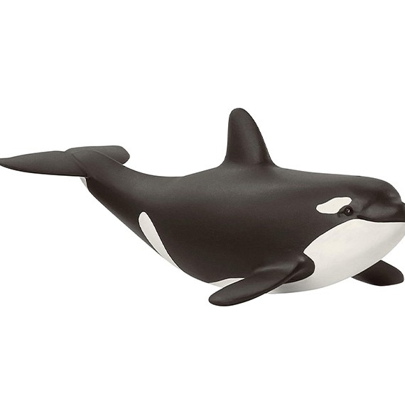 بچه نهنگ قاتل اشلایش - پانزی تویز