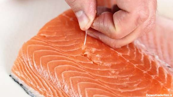 قیمت خرید ماهی سالمون اصل عمده به صرفه و ارزان