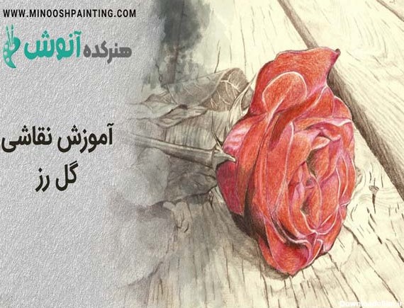 عکس نقاشی گل رز با مداد رنگی