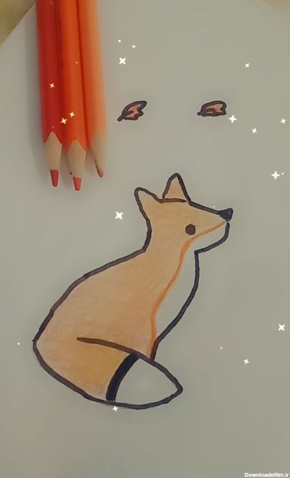 روباه کیوت 🥰😍 - عکس ویسگون