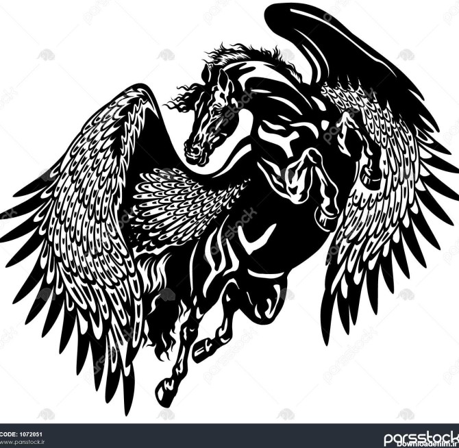 اسب اسب بزرگ سیاه و سفید تصویر تاتو 1072051