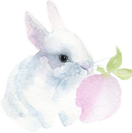 تصویر با کیفیت نقاشی خرگوش همراه با نقاشی آبرنگ و نقاشی ...