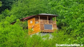 اجاره کلبه چوبی وسط جنگل های سوادکوه (معرفی کامل)