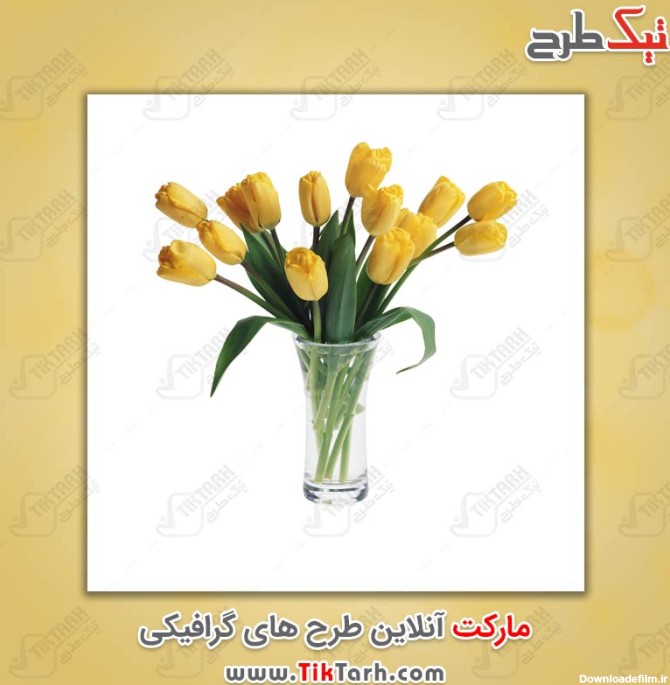دانلود عکس گلدان گل های لاله زرد
