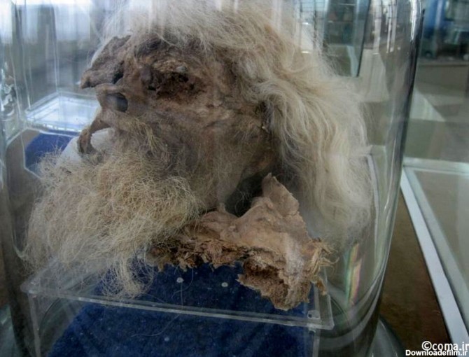 عکس : مرد نمکی در موزه ملی