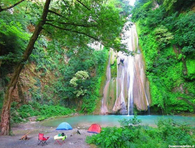 تصاویر زیبای جنگل گلستان