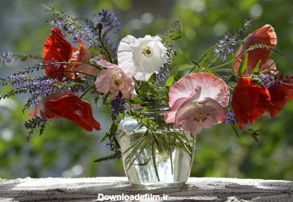 تصاویری از گل و گلدان های فوق العاده زیبا؛ ایده ای برای خانه شما در بهار