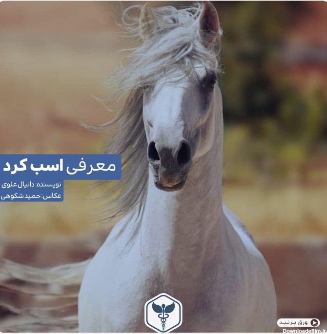 اسب کرد گروه دامپزشکی ایران