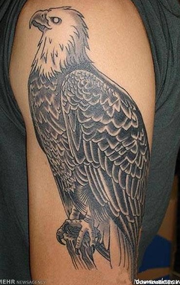 عکس تاتو عقاب روی بازو