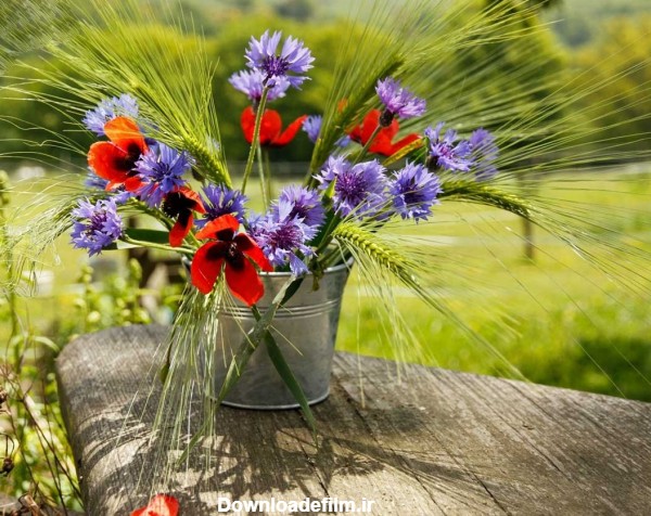 تصاویری از گل و گلدان های فوق العاده زیبا؛ ایده ای برای خانه شما در بهار