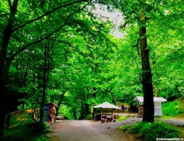 عکس پارک جنگلی رامسر