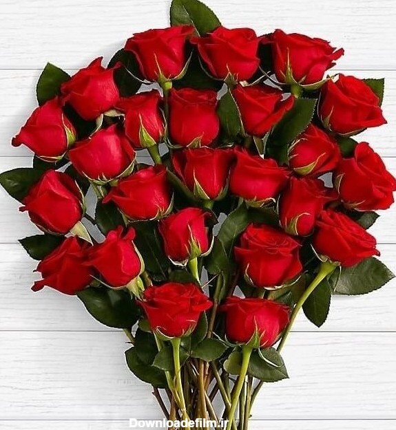 سفارش و خرید آنلاین دسته گل رز قرمز | گل فروشی آنلاین گل بازار