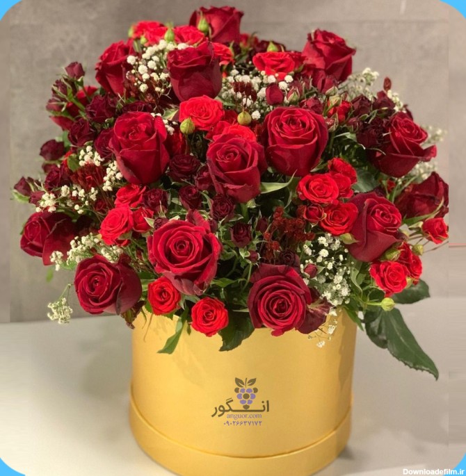 رز باکس قرمز سوین با گلهای رز هلندی و رز مینیاتوری | گلفروشی ...
