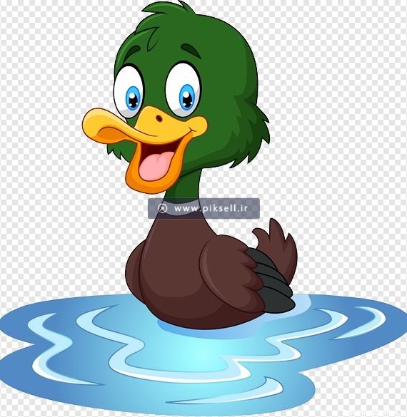 دانلود فایل png اردک کارتونی در آب