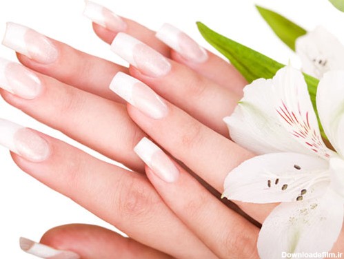 عکس با کیفیت از دو دست با ناخن کاشته شده در کنار گل زنبق