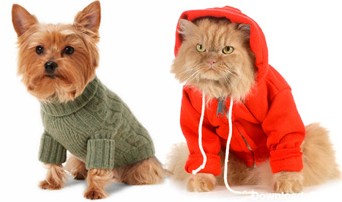 لباس سگ و لباس گربه | انواع لباس زمستانی سگ و گربه | انواع ...