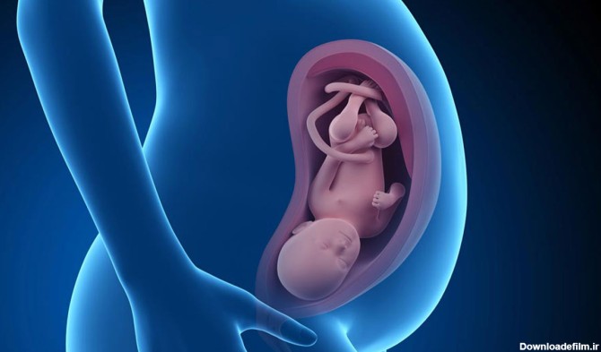 عکس بچه در شکم مادر