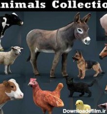 آبجکت حیوانات مزرعه - دانلود مدل سه بعدی حیوانات مزرعه - آبجکت حیوان