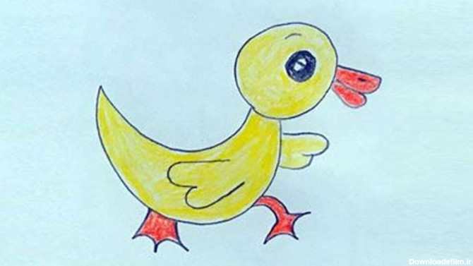 نقاشی اردک پر طلایی | کافه کودک