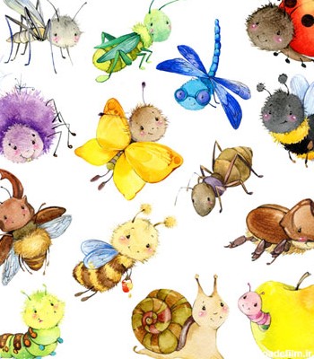 تصویر با کیفیت و کارتونی نقاشی شده حشرات مختلف