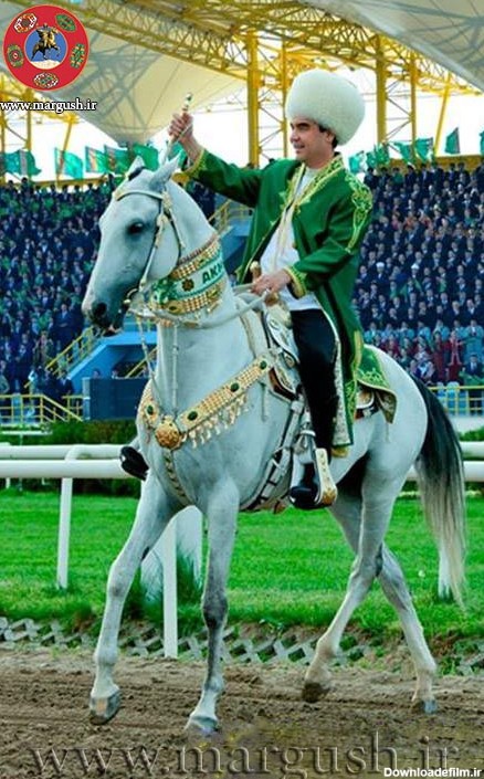 Berdi03 - هنر اسب شناسی ترکمن‌ها،  TurkmenT At