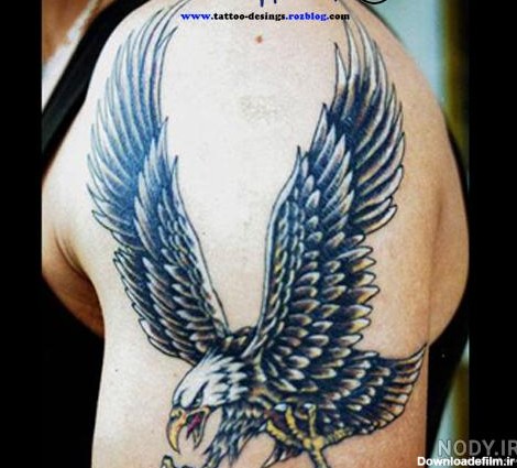 عکس تاتو عقاب روی بازو - عکس نودی