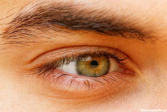راز‌های جالب درباره چشم سبز‌ها که نمی‌دانستید!