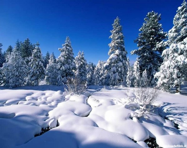عکس منظره برفی بسیار زیبا و دیدنی | ستاره