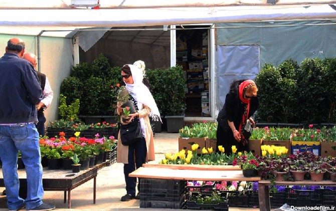 تک فروشی گلدان های گل در بازار محلاتی