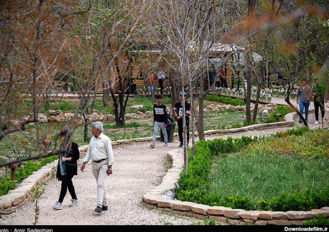 باغ گلها - شیراز- عکس استانها تسنیم | Tasnim